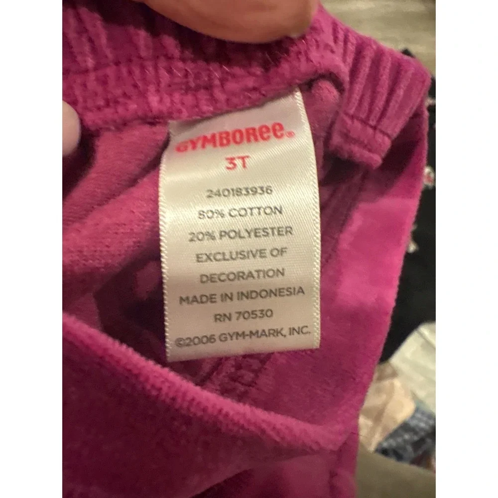 Gymboree Girls Magenta Velour Tracksuit Set Floral Embroidery 2T 3T 240183559